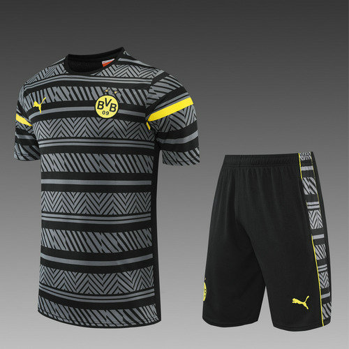 pantaloncini + maniche corte borussia dortmund 2022-2023 grigio uomo
